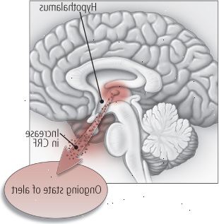 Trauma emocional temprana puede alterar los niveles hormonales Trauma emocional temprana puede alterar los niveles hormonales