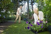 Jardinería