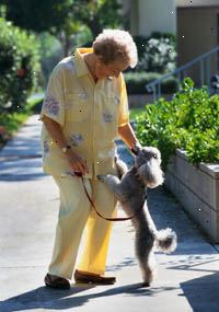 Imagen de una mujer mayor que paseaba a su perro Imagen de una mujer mayor que paseaba a su perro