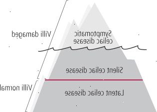 Iceberg Celíaca