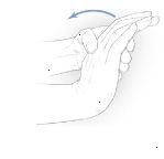 Muñeca flexor tramo