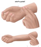 Dibujo que demuestra la forma de tomar el pulso