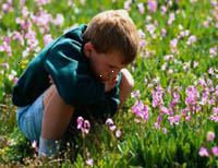 Fotografía de un niño sentado en un campo de flores silvestres Fotografía de un niño sentado en un campo de flores silvestres