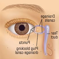 Ojos Ojos