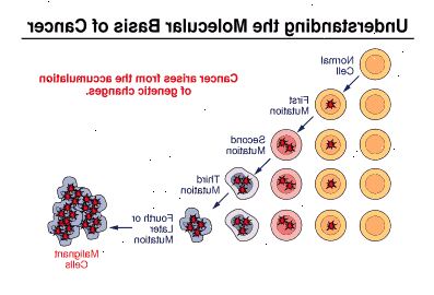 Gráfico de mutaciones de la célula Gráfico de mutaciones de la célula